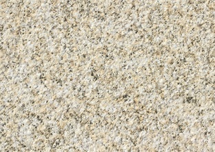 1613359203484669.jpg 黃金麻細花荔枝面_看圖王.jpg